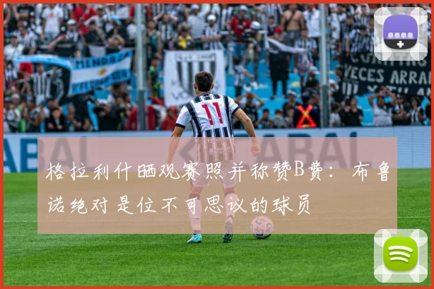 格拉利什晒观赛照并称赞B费：布鲁诺绝对是位不可思议的球员