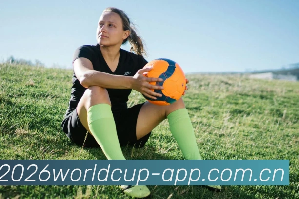 世界杯App应用平台生态图