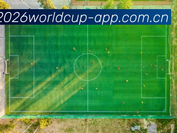 世界杯App应用全站App